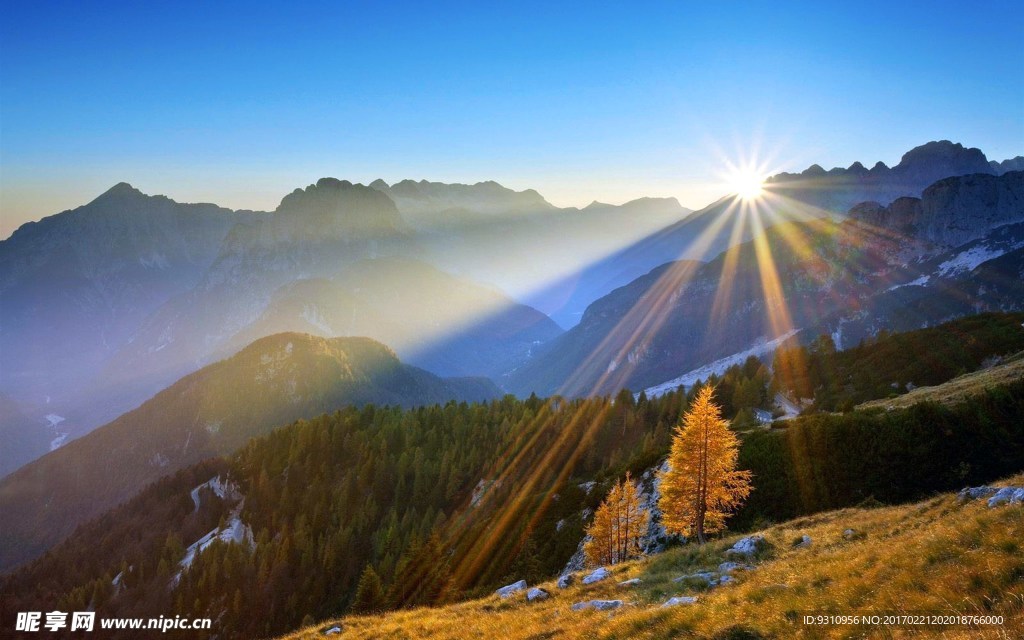 山