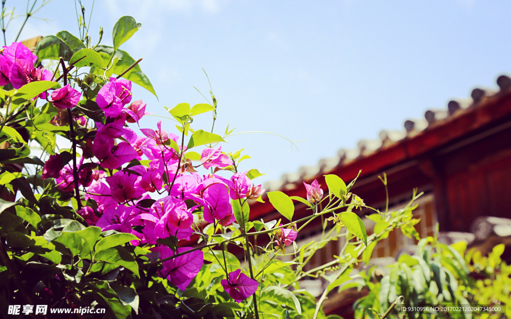 花