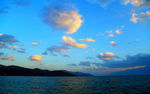 海