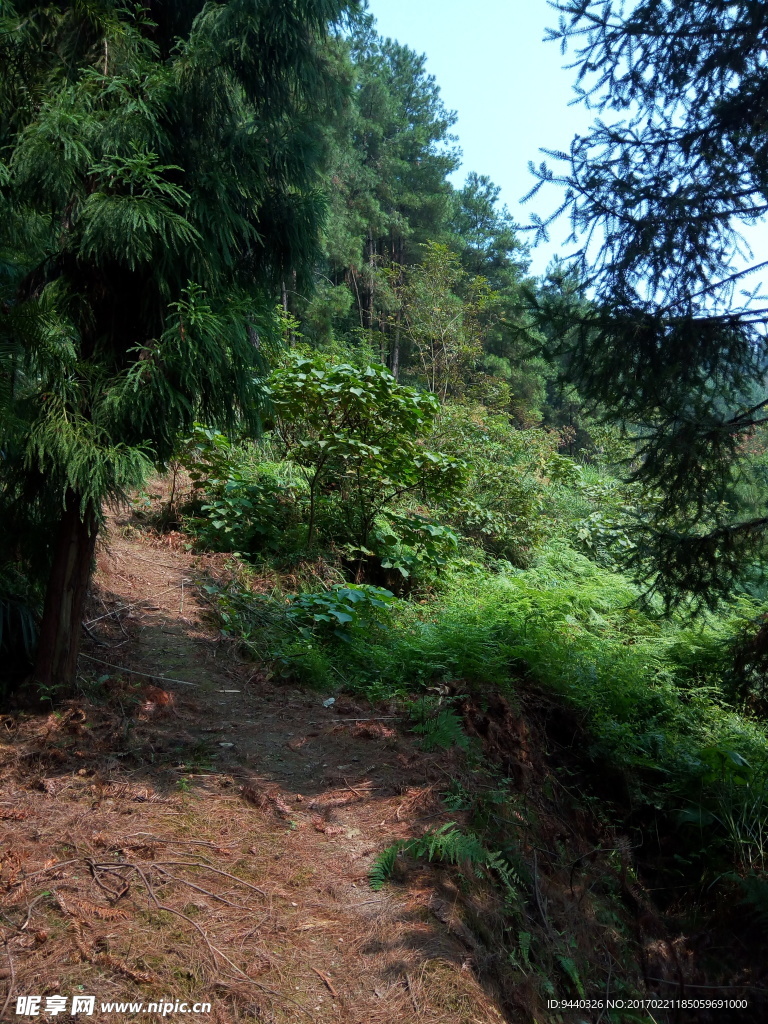 青山