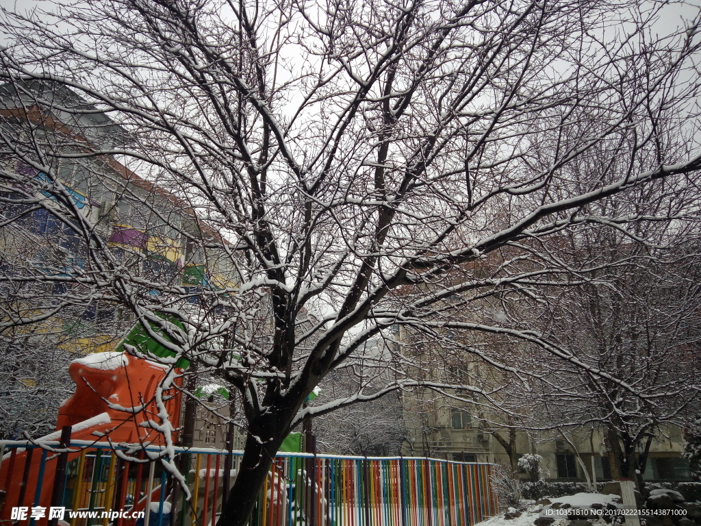 都市雪景 二月飞雪