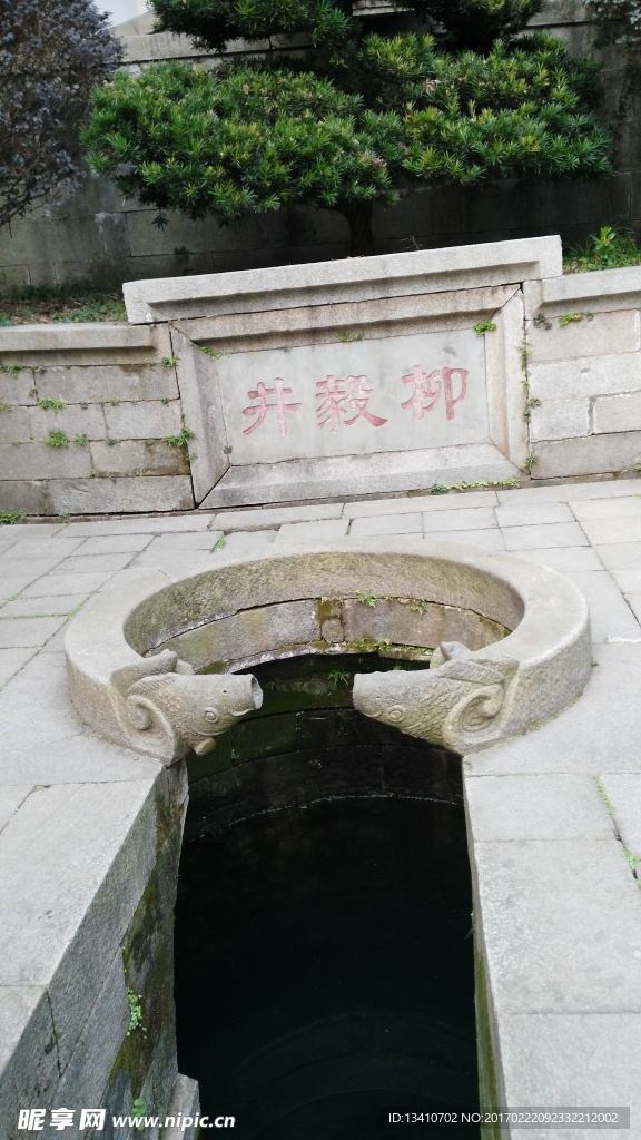 柳颜井