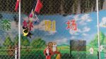 训虎表演