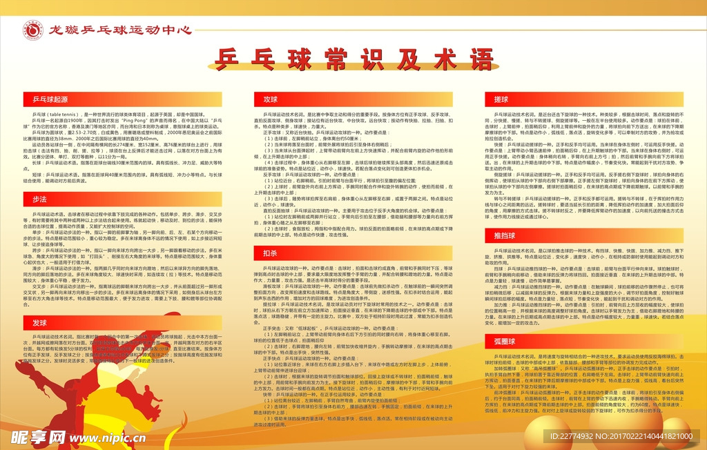 乒乓球常识及术语展板