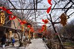 农家小院