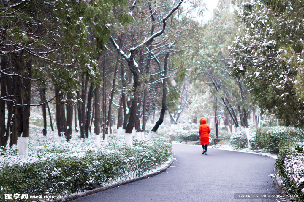 春雪