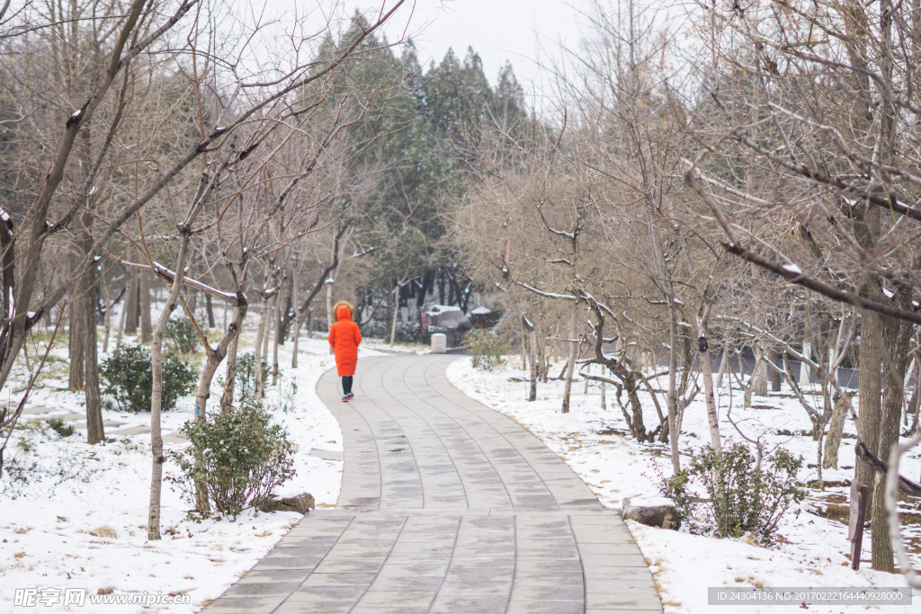 春雪