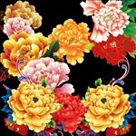 牡丹花