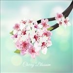 桃花景深