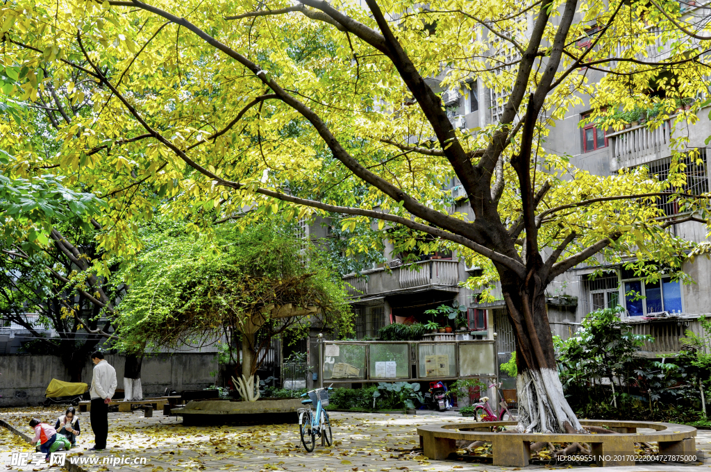 川北医学院宿舍院景