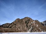 苍山劲松