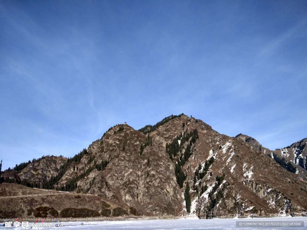 苍山劲松