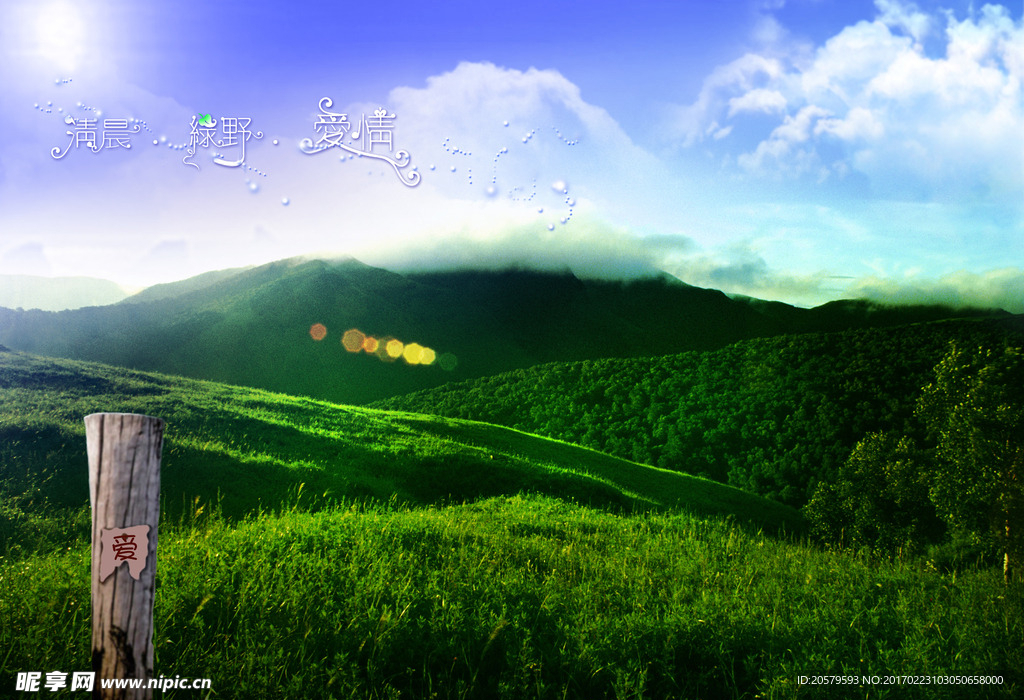 清晨绿野爱情婚纱照设计模板