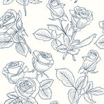 手绘线稿春季玫瑰花插图