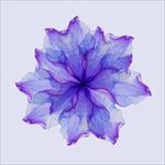 蓝紫透明花背景