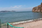 海鸟