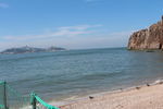 大海的海鸥海鸟
