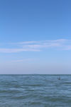 海边飞翔
