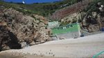 海边沙滩的飞鸟