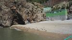 海边沙滩的飞鸟