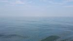 大海风景
