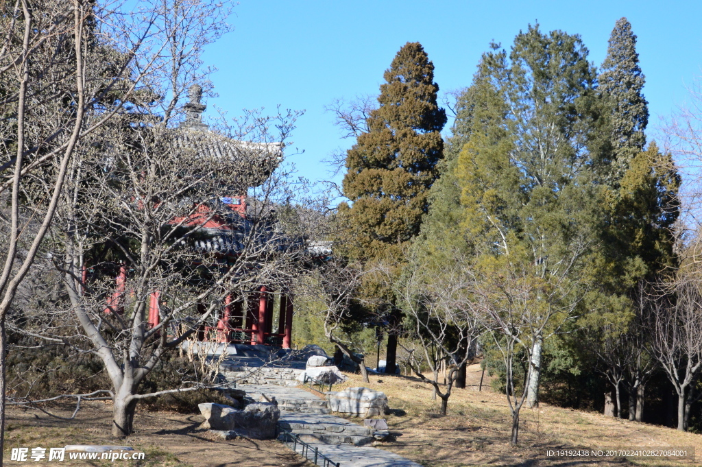 冬日香山