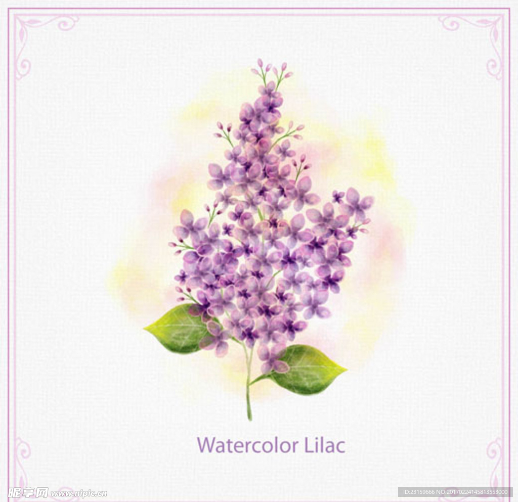 手绘水彩春季紫色花卉