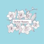 线稿素描春季花卉花枝