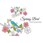 彩色线稿春季花鸟插图