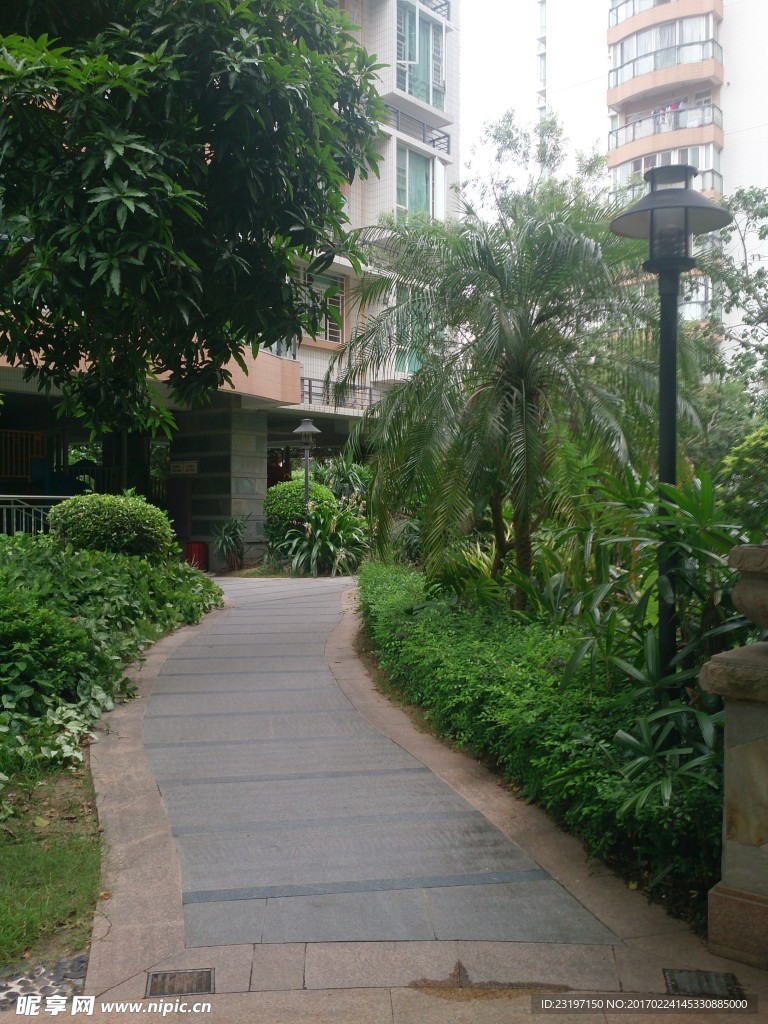 小区绿化