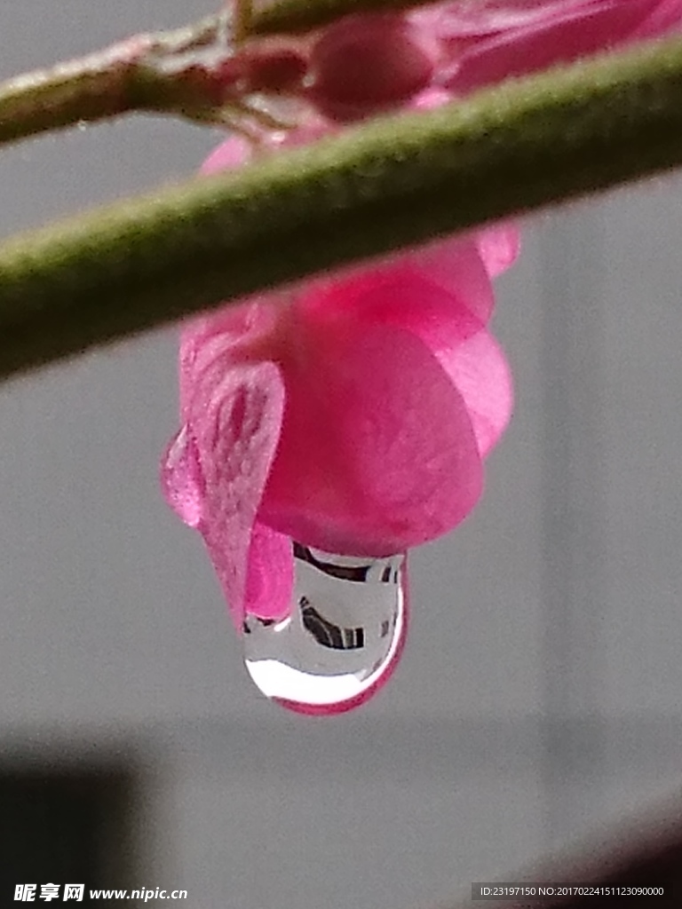水珠