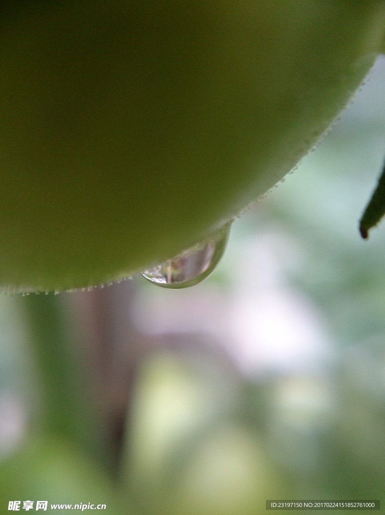 水珠