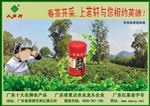 新茶上市海报