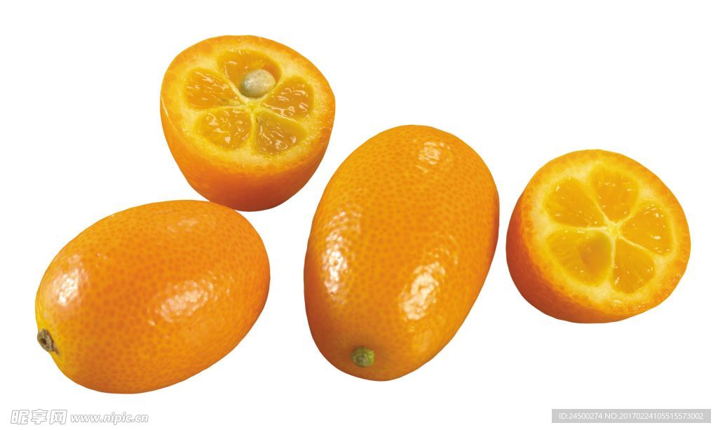 金桔 小橘子