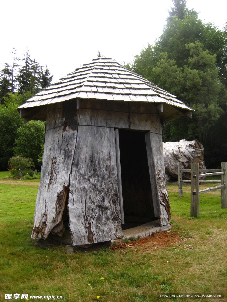 树桩小屋