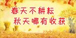 秋天秋收海报设计