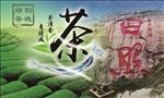 韵德绿茶