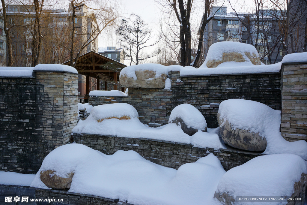 园区 景观 雪景