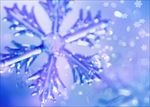 雪晶