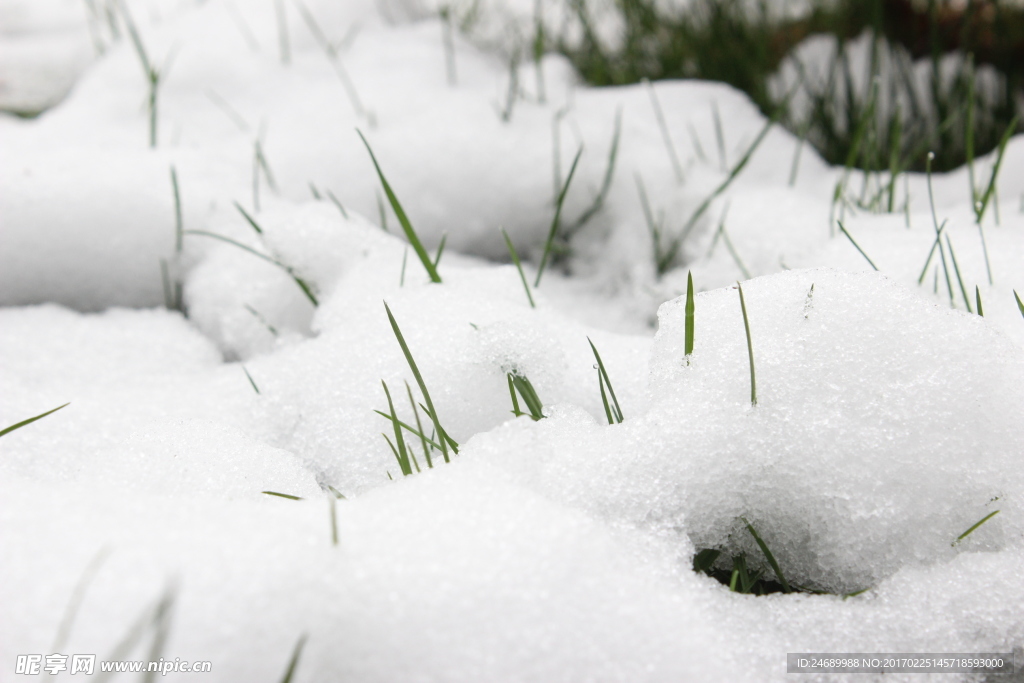雪