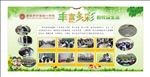 丰富多彩的学生活动绿色展板