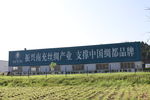 绮香纱