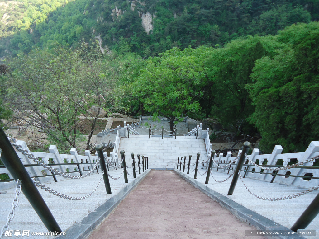 楼梯风景