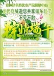 农产品端午单页