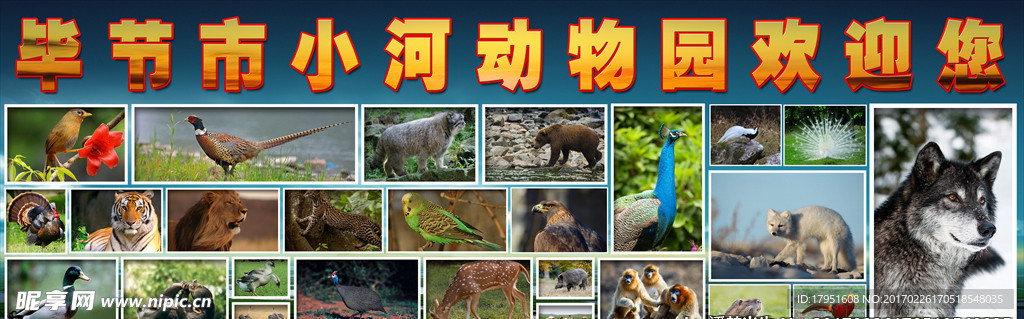 毕节动物园
