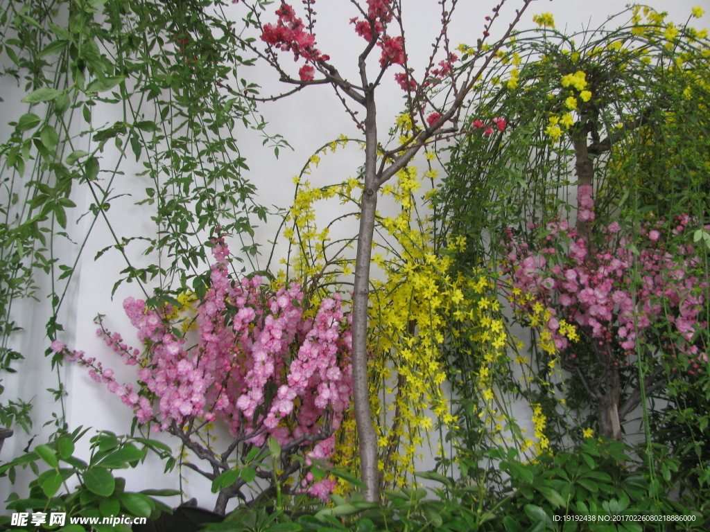 花房美景