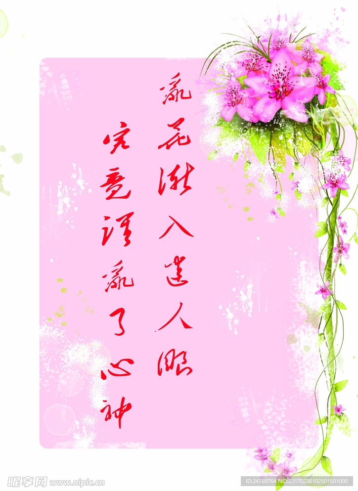 乱花渐入迷人眼