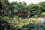 深圳国际园林花卉博览园