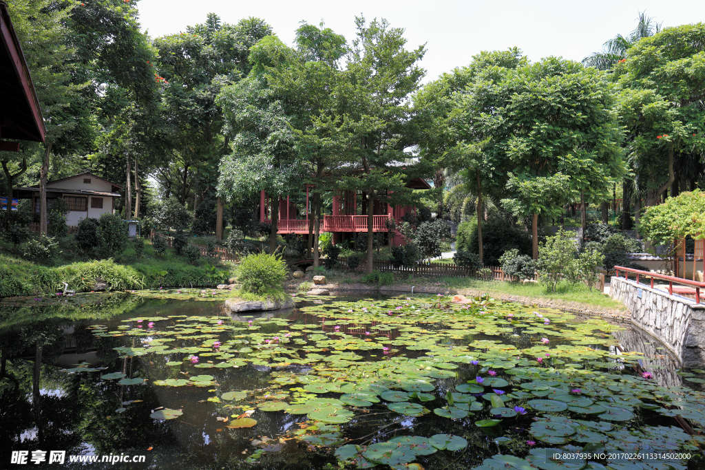 深圳国际园林花卉博览园