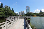 深圳荔枝公园
